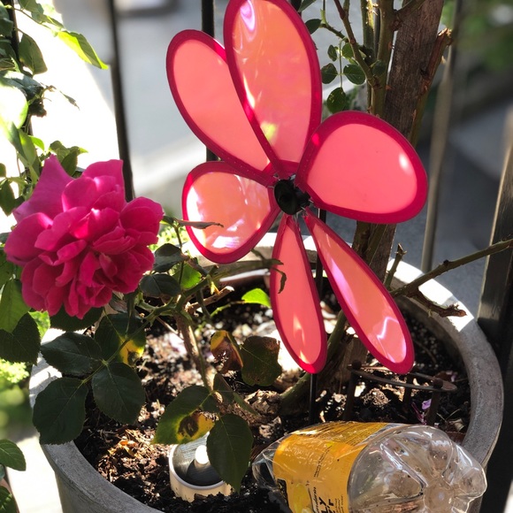 Meet your Posher, Leslie - Picture 1 of 1